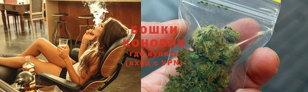крисы Богородск