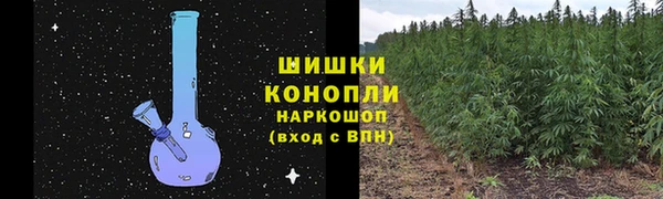 соль курить ск Бородино