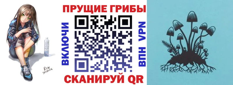 Галлюциногенные грибы GOLDEN TEACHER Купить закладки Майский